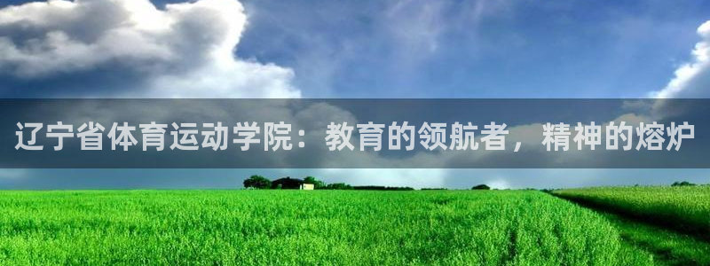 三亿体育网