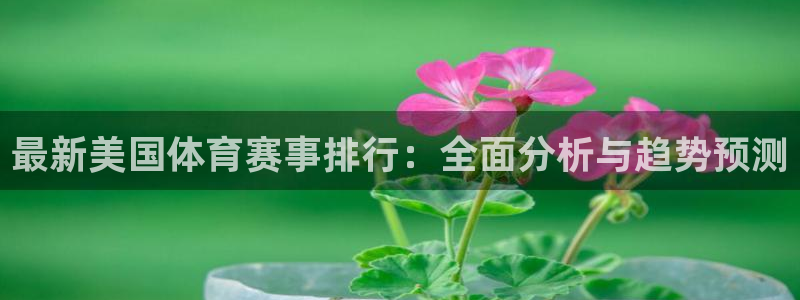 三亿体育网：最新美国体育赛事排行：全面分析与趋势预测