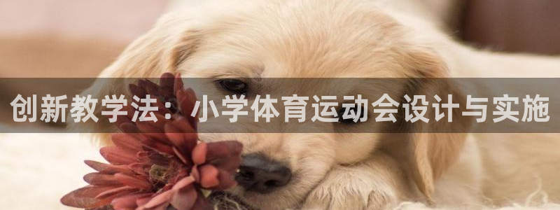 三亿体育：创新教学法：小学体育运动会设计与实施