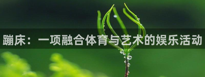 三亿体育网：蹦床：一项融合体育与艺术的娱乐活动