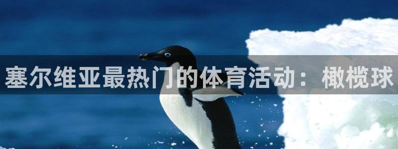 三亿体育网页版：塞尔维亚最热门的体育活动：橄榄球