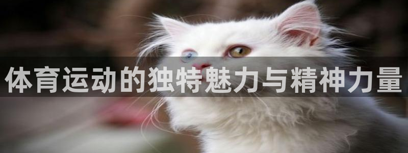 三亿体育：体育运动的独特魅力与精神力量