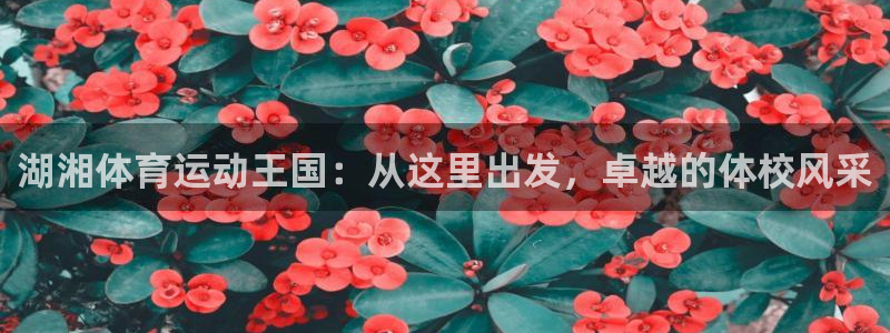 三亿体育网页版：湖湘体育运动王国：从这里出发，卓越的体校风采