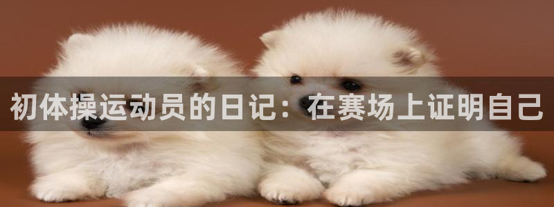 三亿体育登录