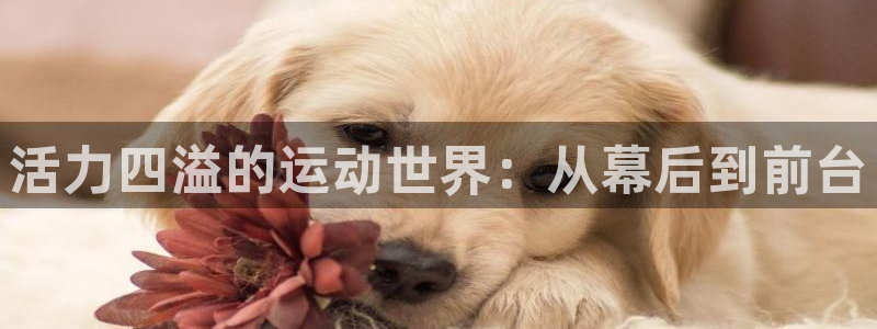 三亿体育
